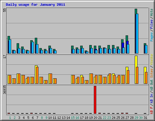 Daily usage for January 2011