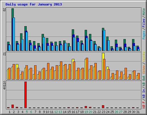 Daily usage for January 2013