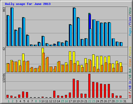 Daily usage for June 2013