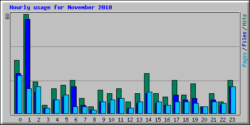 Hourly usage for November 2010