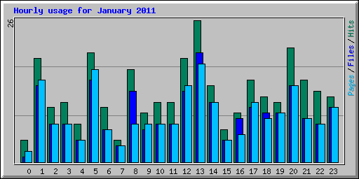 Hourly usage for January 2011