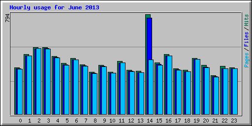 Hourly usage for June 2013