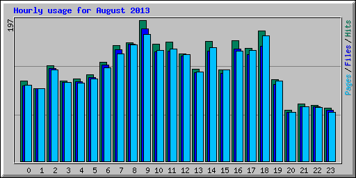 Hourly usage for August 2013